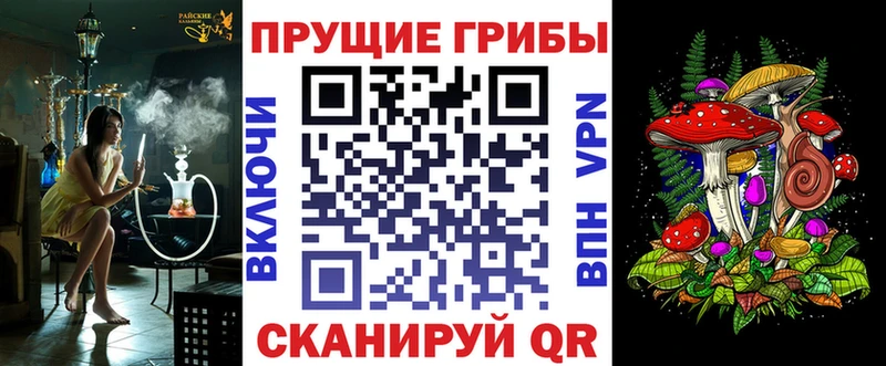omg ссылка  Урюпинск  Псилоцибиновые грибы прущие грибы 